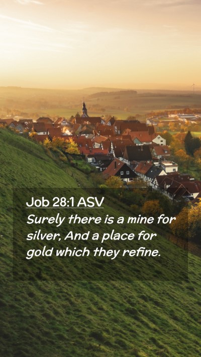 Picture 02 - Job 28:1 ASV Mobile Phone Wallpaper - Surely there is a mine for silver, And a place - Mobile Bible Verse Wallpaper