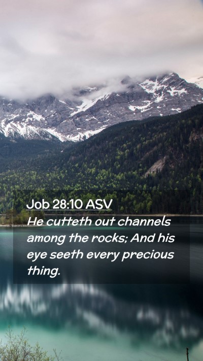 Picture 02 - Job 28:10 ASV Mobile Phone Wallpaper - He cutteth out channels among the rocks; And his - Mobile Bible Verse Wallpaper