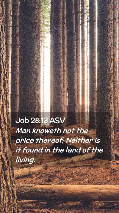 Picture 02 - Job 28:13 ASV Mobile Phone Wallpaper - Man knoweth not the price thereof; Neither is it - Mobile Bible Verse Wallpaper