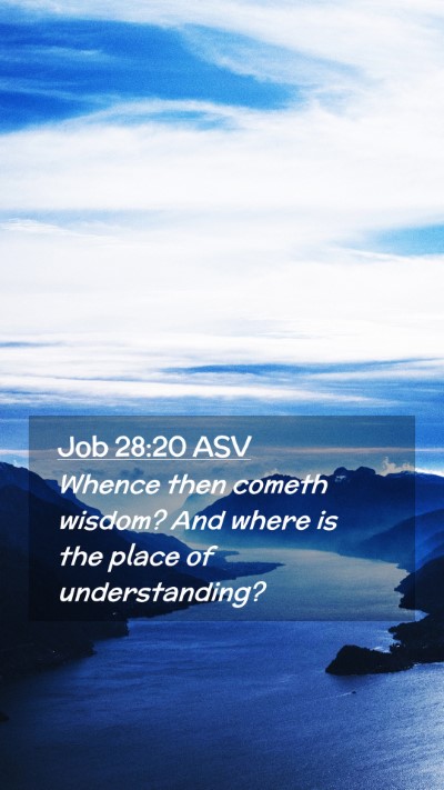 Picture 02 - Job 28:20 ASV Mobile Phone Wallpaper - Whence then cometh wisdom? And where is the place - Mobile Bible Verse Wallpaper