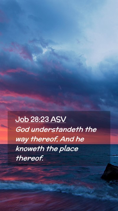 Picture 02 - Job 28:23 ASV Mobile Phone Wallpaper - God understandeth the way thereof, And he knoweth - Mobile Bible Verse Wallpaper