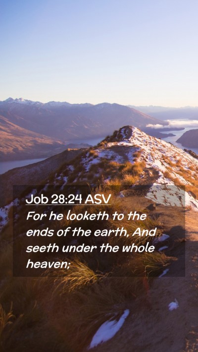 Picture 02 - Job 28:24 ASV Mobile Phone Wallpaper - For he looketh to the ends of the earth, And - Mobile Bible Verse Wallpaper