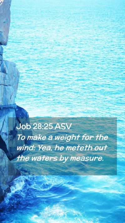 Picture 02 - Job 28:25 ASV Mobile Phone Wallpaper - To make a weight for the wind: Yea, he meteth out - Mobile Bible Verse Wallpaper