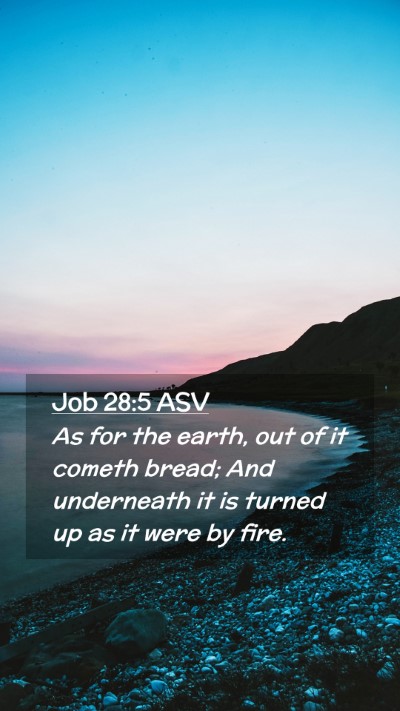 Picture 02 - Job 28:5 ASV Mobile Phone Wallpaper - As for the earth, out of it cometh bread; And - Mobile Bible Verse Wallpaper