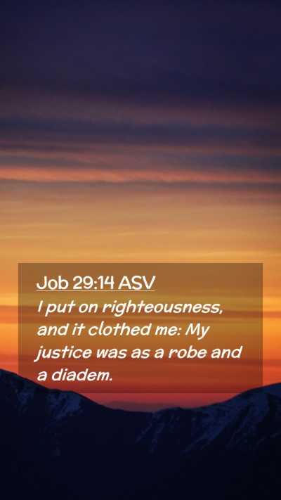 Picture 02 - Job 29:14 ASV Mobile Phone Wallpaper - I put on righteousness, and it clothed me: My - Mobile Bible Verse Wallpaper
