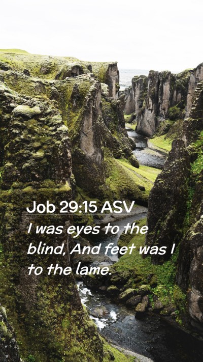 Picture 02 - Job 29:15 ASV Mobile Phone Wallpaper - I was eyes to the blind, And feet was I to the - Mobile Bible Verse Wallpaper