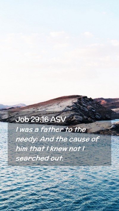 Picture 02 - Job 29:16 ASV Mobile Phone Wallpaper - I was a father to the needy: And the cause of him - Mobile Bible Verse Wallpaper
