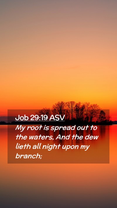 Picture 02 - Job 29:19 ASV Mobile Phone Wallpaper - My root is spread out to the waters, And the dew - Mobile Bible Verse Wallpaper