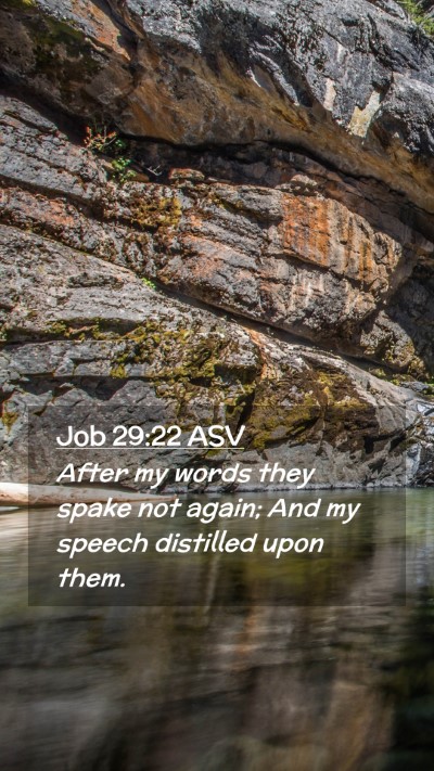 Picture 02 - Job 29:22 ASV Mobile Phone Wallpaper - After my words they spake not again; And my - Mobile Bible Verse Wallpaper