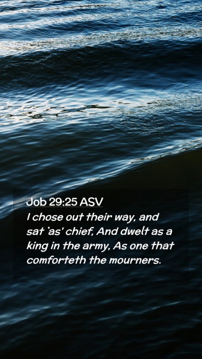 Picture 02 - Job 29:25 ASV Mobile Phone Wallpaper - I chose out their way, and sat `as' chief, And - Mobile Bible Verse Wallpaper