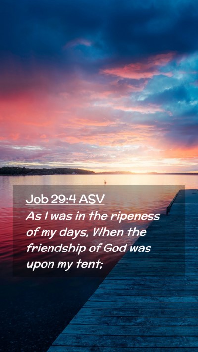 Picture 02 - Job 29:4 ASV Mobile Phone Wallpaper - As I was in the ripeness of my days, When the - Mobile Bible Verse Wallpaper