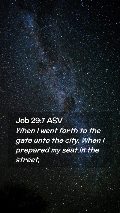 Picture 02 - Job 29:7 ASV Mobile Phone Wallpaper - When I went forth to the gate unto the city, When - Mobile Bible Verse Wallpaper
