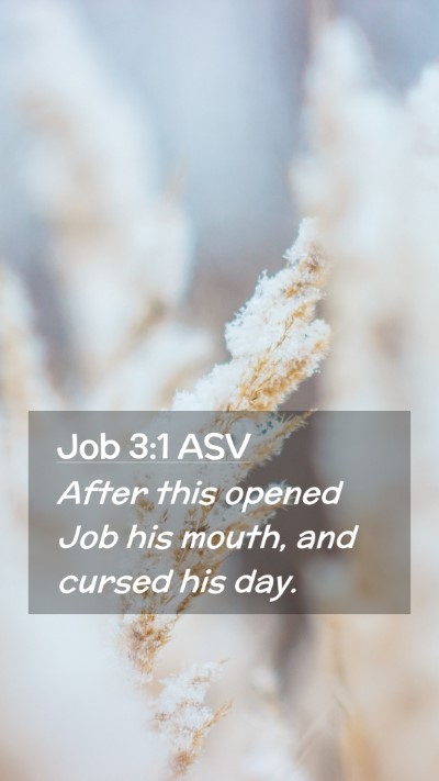 Picture 02 - Job 3:1 ASV Mobile Phone Wallpaper - After this opened Job his mouth, and cursed his - Mobile Bible Verse Wallpaper