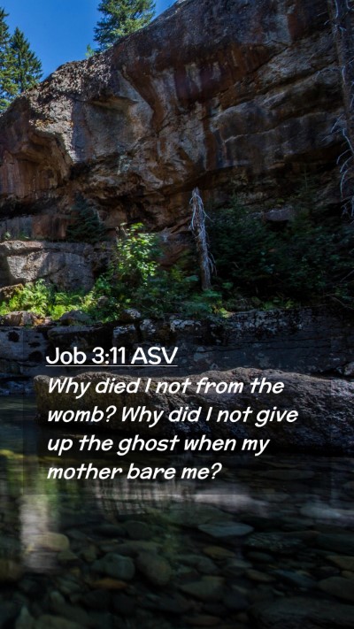 Picture 02 - Job 3:11 ASV Mobile Phone Wallpaper - Why died I not from the womb? Why did I not give - Mobile Bible Verse Wallpaper