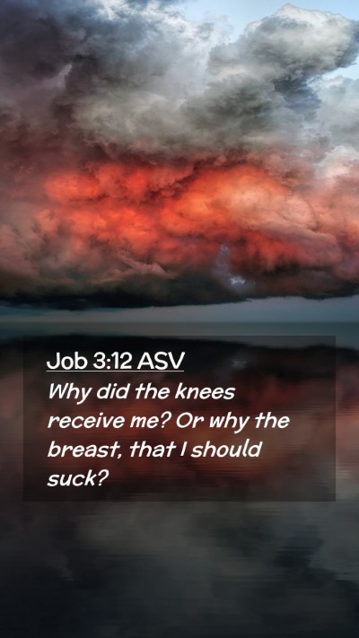 Picture 02 - Job 3:12 ASV Mobile Phone Wallpaper - Why did the knees receive me? Or why the breast, - Mobile Bible Verse Wallpaper