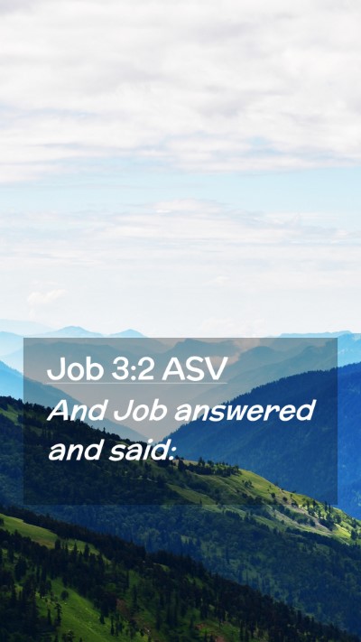 Picture 02 - Job 3:2 ASV Mobile Phone Wallpaper - And Job answered and - Mobile Bible Verse Wallpaper