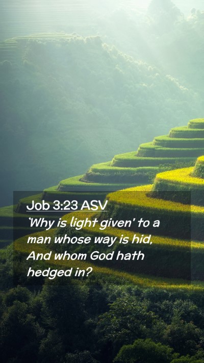 Picture 02 - Job 3:23 ASV Mobile Phone Wallpaper - `Why is light given' to a man whose way is hid, - Mobile Bible Verse Wallpaper