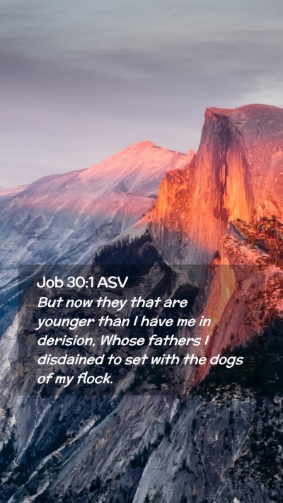 Picture 02 - Job 30:1 ASV Mobile Phone Wallpaper - But now they that are younger than I have me in - Mobile Bible Verse Wallpaper