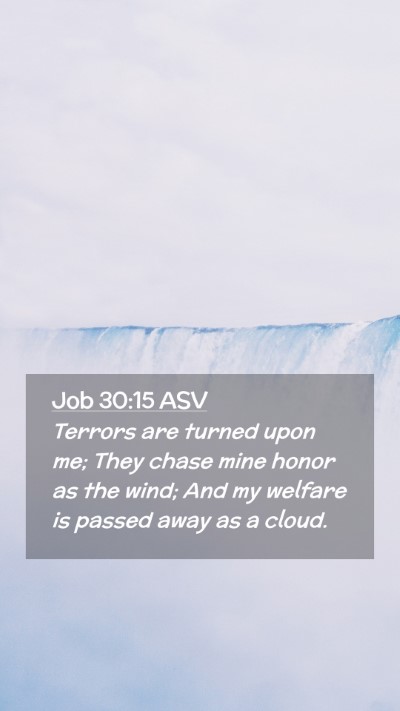 Picture 02 - Job 30:15 ASV Mobile Phone Wallpaper - Terrors are turned upon me; They chase mine honor - Mobile Bible Verse Wallpaper