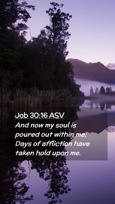 Picture 02 - Job 30:16 ASV Mobile Phone Wallpaper - And now my soul is poured out within me; Days of - Mobile Bible Verse Wallpaper