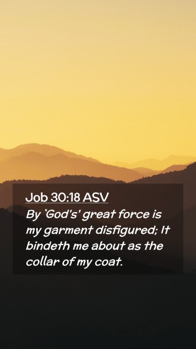 Picture 02 - Job 30:18 ASV Mobile Phone Wallpaper - By `God's' great force is my garment disfigured; - Mobile Bible Verse Wallpaper