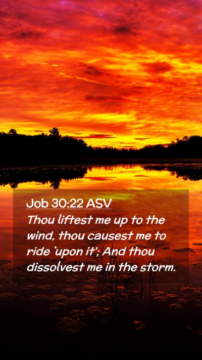 Picture 02 - Job 30:22 ASV Mobile Phone Wallpaper - Thou liftest me up to the wind, thou causest me - Mobile Bible Verse Wallpaper