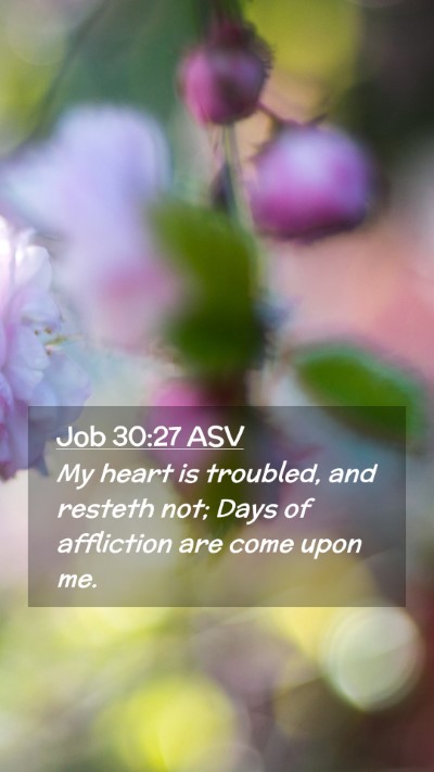 Picture 02 - Job 30:27 ASV Mobile Phone Wallpaper - My heart is troubled, and resteth not; Days of - Mobile Bible Verse Wallpaper