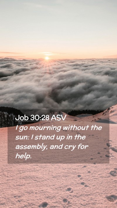 Picture 02 - Job 30:28 ASV Mobile Phone Wallpaper - I go mourning without the sun: I stand up in the - Mobile Bible Verse Wallpaper