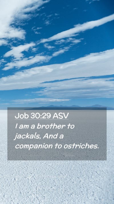 Picture 02 - Job 30:29 ASV Mobile Phone Wallpaper - I am a brother to jackals, And a companion to - Mobile Bible Verse Wallpaper