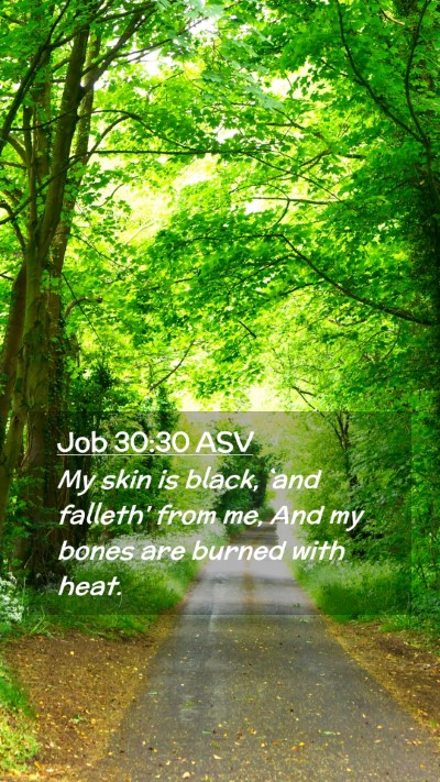 Picture 02 - Job 30:30 ASV Mobile Phone Wallpaper - My skin is black, `and falleth' from me, And my - Mobile Bible Verse Wallpaper