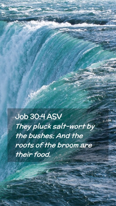 Picture 02 - Job 30:4 ASV Mobile Phone Wallpaper - They pluck salt-wort by the bushes; And the roots - Mobile Bible Verse Wallpaper