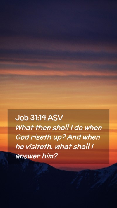 Picture 02 - Job 31:14 ASV Mobile Phone Wallpaper - What then shall I do when God riseth up? And when - Mobile Bible Verse Wallpaper