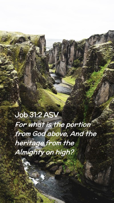 Picture 02 - Job 31:2 ASV Mobile Phone Wallpaper - For what is the portion from God above, And the - Mobile Bible Verse Wallpaper
