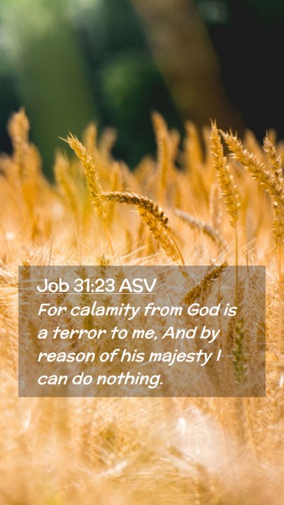 Picture 02 - Job 31:23 ASV Mobile Phone Wallpaper - For calamity from God is a terror to me, And by - Mobile Bible Verse Wallpaper
