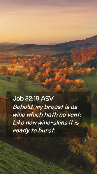 Picture 02 - Job 32:19 ASV Mobile Phone Wallpaper - Behold, my breast is as wine which hath no vent; - Mobile Bible Verse Wallpaper