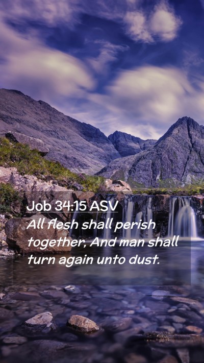 Picture 02 - Job 34:15 ASV Mobile Phone Wallpaper - All flesh shall perish together, And man shall - Mobile Bible Verse Wallpaper