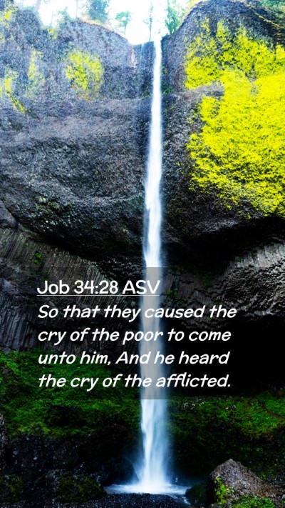 Picture 02 - Job 34:28 ASV Mobile Phone Wallpaper - So that they caused the cry of the poor to come - Mobile Bible Verse Wallpaper