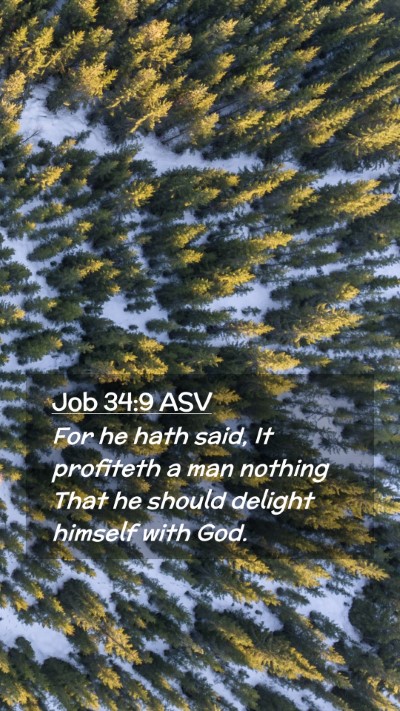 Picture 02 - Job 34:9 ASV Mobile Phone Wallpaper - For he hath said, It profiteth a man nothing That - Mobile Bible Verse Wallpaper
