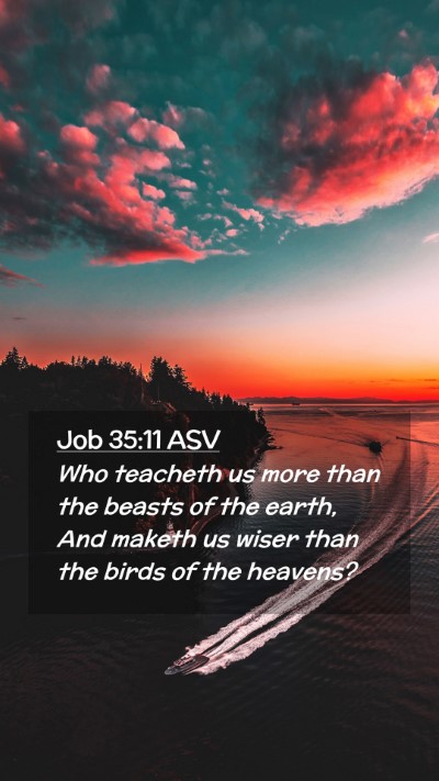 Picture 02 - Job 35:11 ASV Mobile Phone Wallpaper - Who teacheth us more than the beasts of the - Mobile Bible Verse Wallpaper