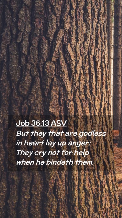 Picture 02 - Job 36:13 ASV Mobile Phone Wallpaper - But they that are godless in heart lay up anger: - Mobile Bible Verse Wallpaper