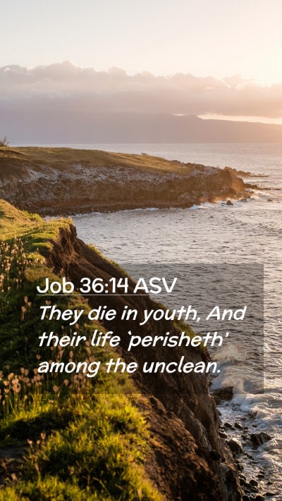 Picture 02 - Job 36:14 ASV Mobile Phone Wallpaper - They die in youth, And their life `perisheth' - Mobile Bible Verse Wallpaper