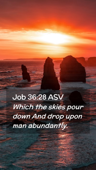 Picture 02 - Job 36:28 ASV Mobile Phone Wallpaper - Which the skies pour down And drop upon man - Mobile Bible Verse Wallpaper