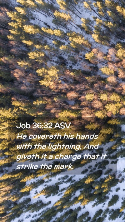 Picture 02 - Job 36:32 ASV Mobile Phone Wallpaper - He covereth his hands with the lightning, And - Mobile Bible Verse Wallpaper