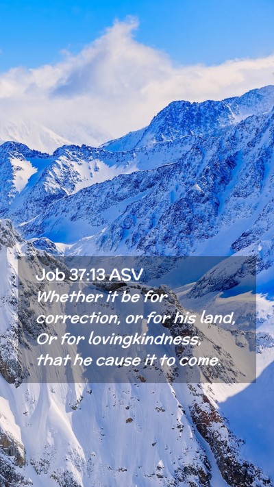 Picture 02 - Job 37:13 ASV Mobile Phone Wallpaper - Whether it be for correction, or for his land, Or - Mobile Bible Verse Wallpaper