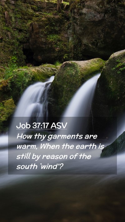 Picture 02 - Job 37:17 ASV Mobile Phone Wallpaper - How thy garments are warm, When the earth is - Mobile Bible Verse Wallpaper