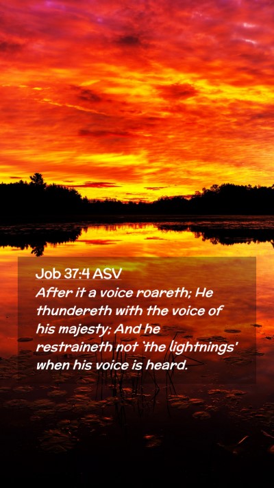 Picture 02 - Job 37:4 ASV Mobile Phone Wallpaper - After it a voice roareth; He thundereth with the - Mobile Bible Verse Wallpaper