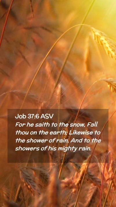 Picture 02 - Job 37:6 ASV Mobile Phone Wallpaper - For he saith to the snow, Fall thou on the earth; - Mobile Bible Verse Wallpaper