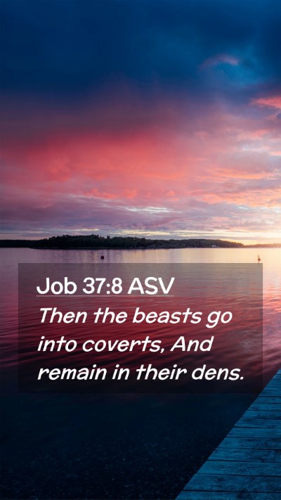 Picture 02 - Job 37:8 ASV Mobile Phone Wallpaper - Then the beasts go into coverts, And remain in - Mobile Bible Verse Wallpaper
