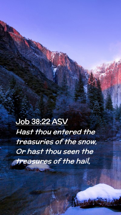 Picture 02 - Job 38:22 ASV Mobile Phone Wallpaper - Hast thou entered the treasuries of the snow, Or - Mobile Bible Verse Wallpaper