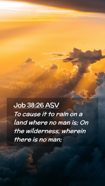 Picture 02 - Job 38:26 ASV Mobile Phone Wallpaper - To cause it to rain on a land where no man is; On - Mobile Bible Verse Wallpaper
